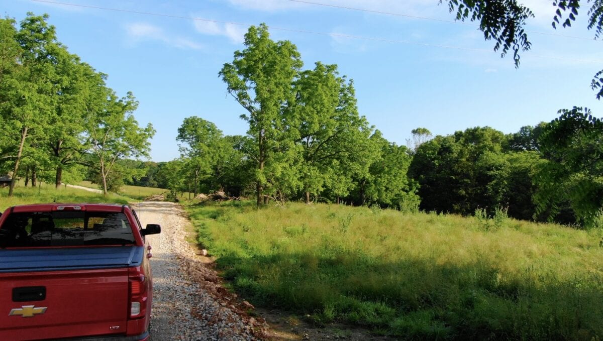 17 acres ON Bryant Creek at Panther Hollow! Big timber and open meadow