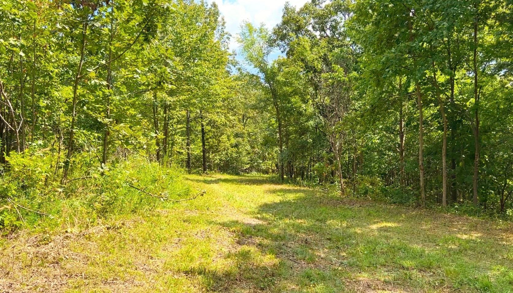 Tract 13 at The Tracts at White River 10 Acres IDWZ13