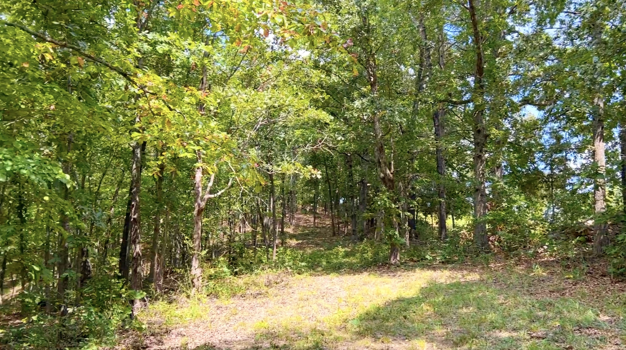 Tract 24 at The Tracts at White River 10 Acres IDWZ24